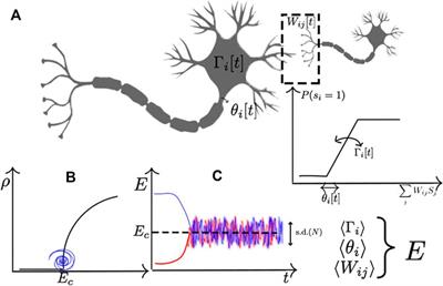 Mechanisms of Self-Organized Quasicriticality in Neuronal Network Models